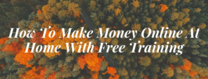 How to make money online free training